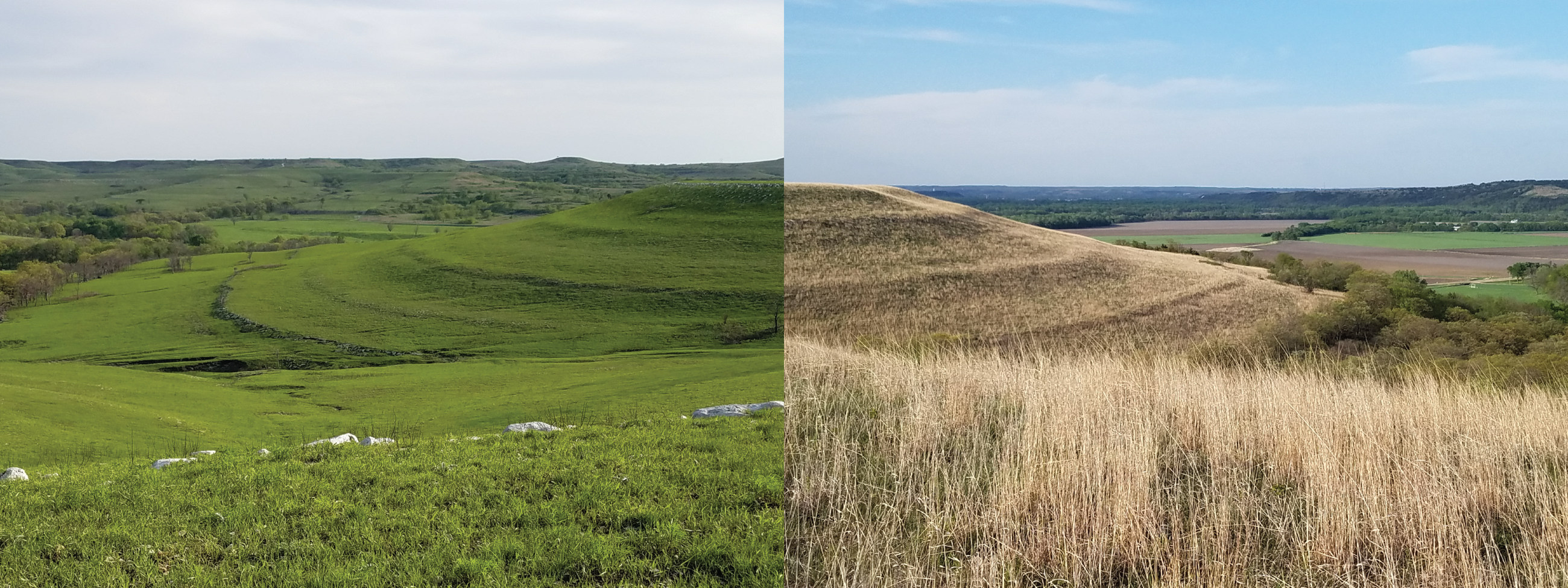 Flint Hills 
