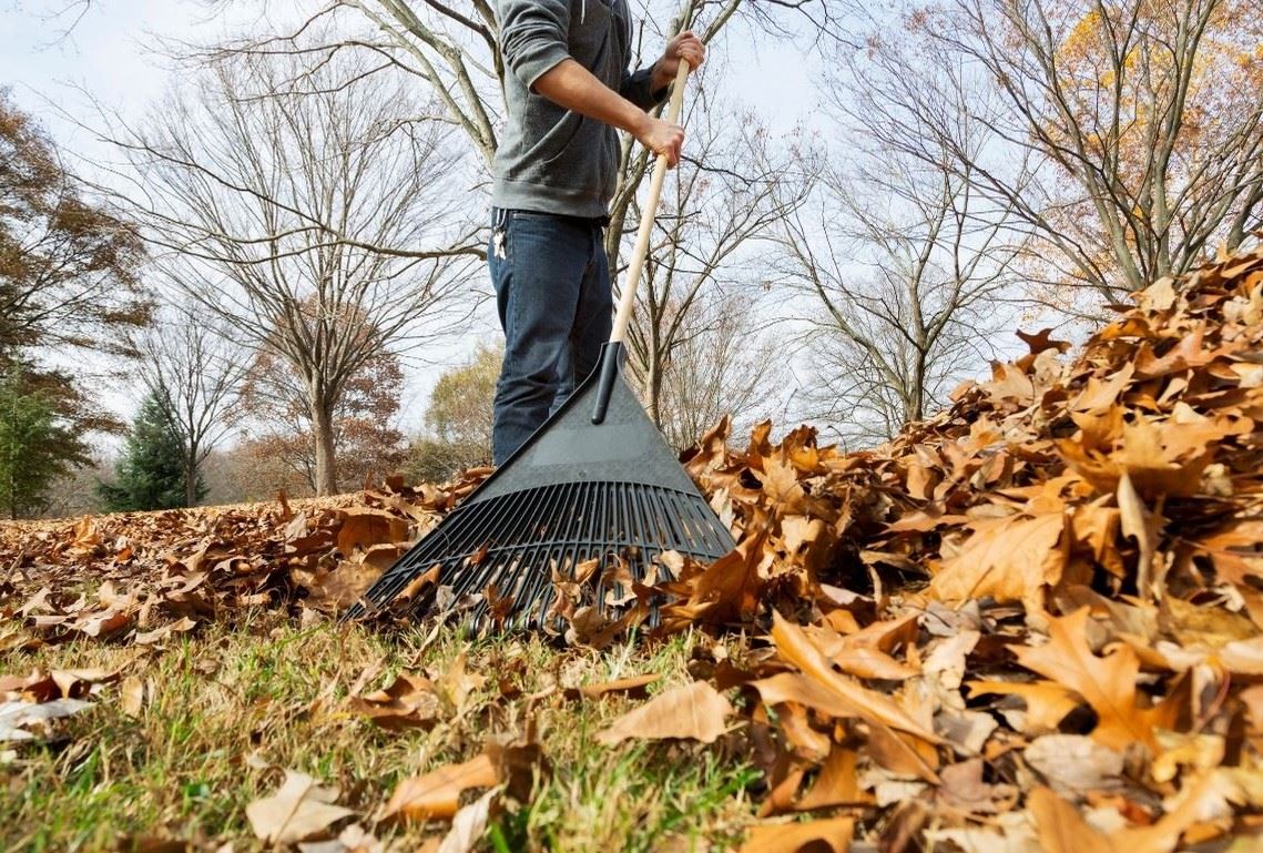 Rake