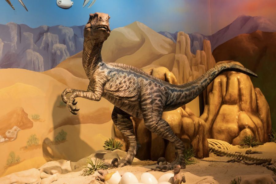 Animatronic Velociraptor